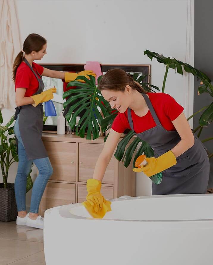 standard_cleaning