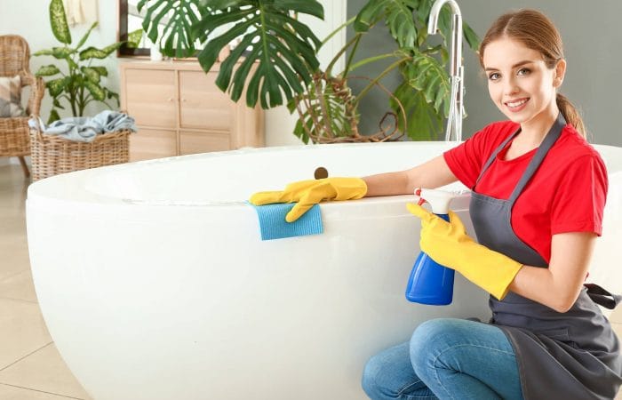 why-hire-the-lady-maids