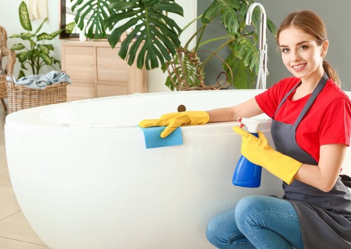 why-hire-the-lady-maids