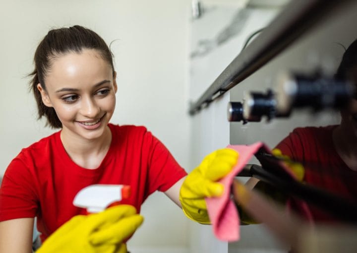 the_lady_maids_insured_business